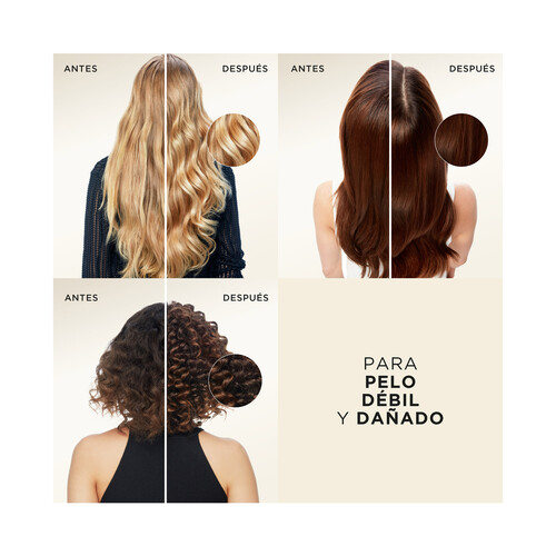 PANTENE Pro-v repara & protege Champú para cabellos secos y dañados 500 ml.