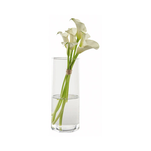 Jarrón tubular de cristal para plantas decorativas, tamaño: 30 centímetros,  ACTUEL.         