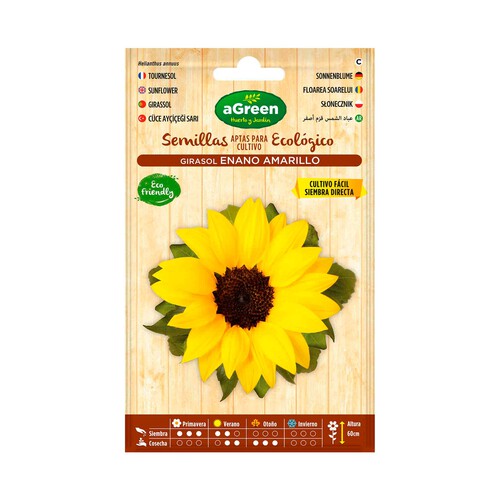 Semillas de girasol enano amarillo aptas para cultivo ecológico, AGREEN HUERTO Y JARDÍN.