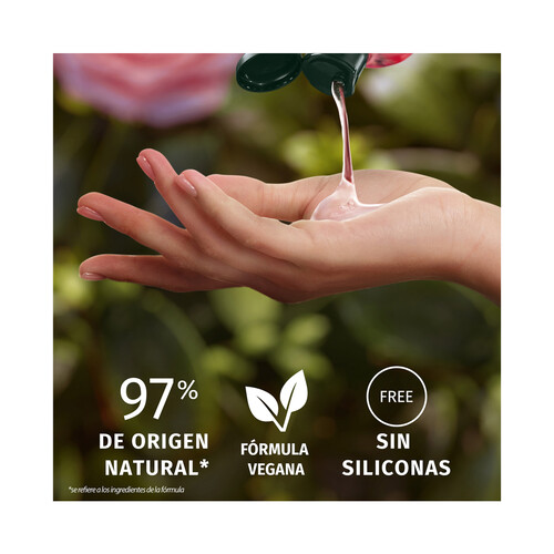 HERBAL ESSENCES Champú suavizante e hidratante con aroma a rosas, para cabellos secos 350 ml.