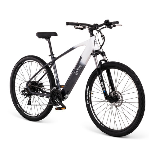 Bicicleta eléctrica YOUIN EVEREST, 250W, vel max 25km/h, ruedas 29, Talla M (1,65-1,78 m).