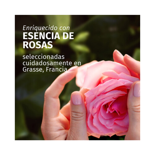 HERBAL ESSENCES Champú suavizante e hidratante con aroma a rosas, para cabellos secos 350 ml.