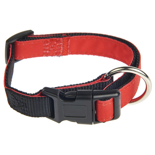 PRODUCTO ALCAMPO Collar de perro (1.5 cm.) rojo, para perros S/M 32 - 40 cm.