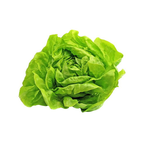 Lechuga baby ecológica 2 uds.