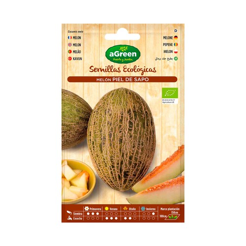 Semillas ecológicas para sembrar melón de la variedad Piel de sapo HA-HUERTO Y JARDÍN.