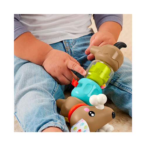 FISHER PRICE Perrito de actividades con sonidos y giros