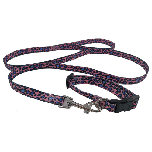 PRODUCTO ALCAMPO Fency Conjunto de collar tamaño S (25 - 35 cm) + correa (120 cm).