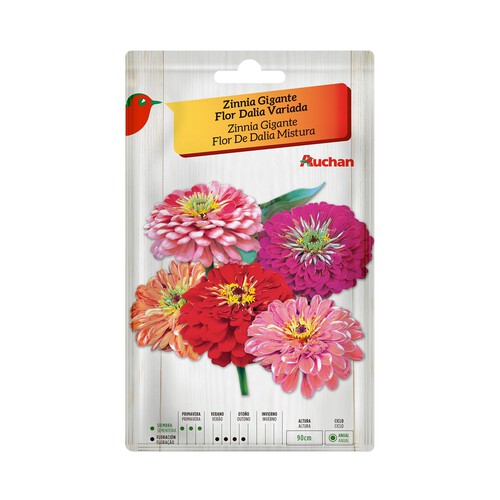 Sobre de semillas para plantar zinnia (Dalias) de tamaño gigante y de colores variados PRODUCTO ALCAMPO.