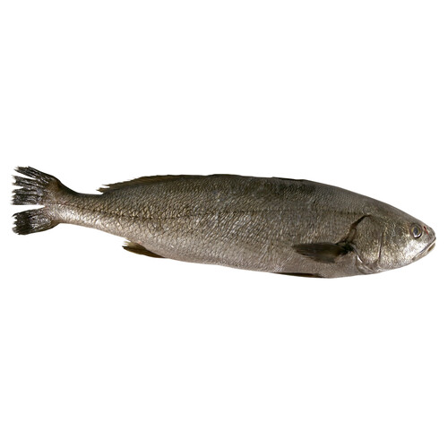 Corvina mostrador