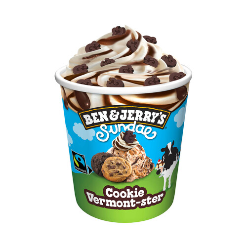 BEN & JERRY'S Tarrina de helado de nata con galletas y trocitos de chocolate sundae 427 ml.