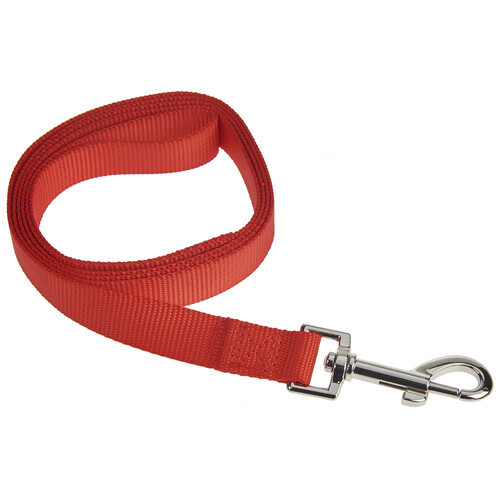 PRODUCTO ALCAMPO Correa de 2 cm. roja para perro 1.5 m.