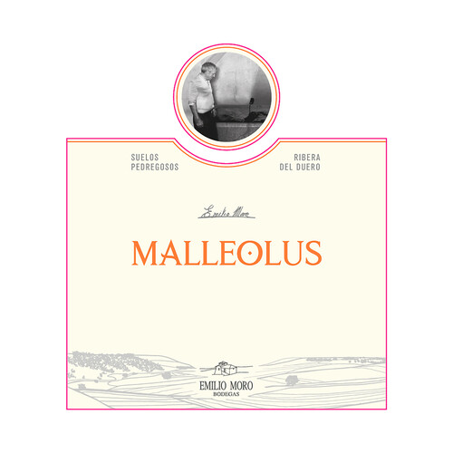 MALLEOLUS  Vino tinto crianza con D.O. Ribera del Duero botella 75 cl.