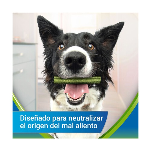 DENTALIFE Snack dental perros 12 a 25 kg PURINA DENTALIFE ACTIVFRESH 4 uds.