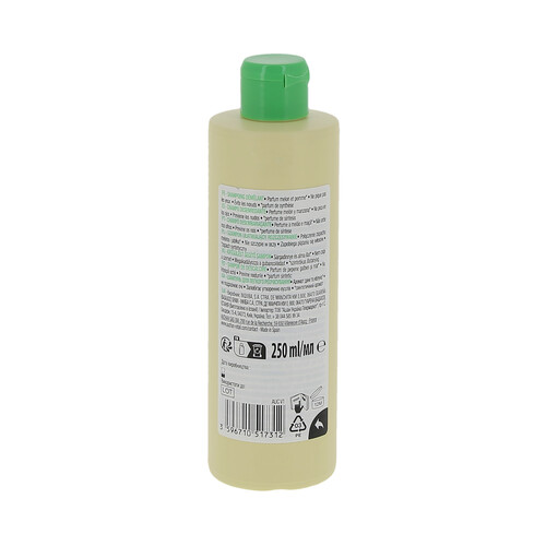 PRODUCTO ALCAMPO Champú desenredante infantil, con aroama a melón y manzana 250 ml.