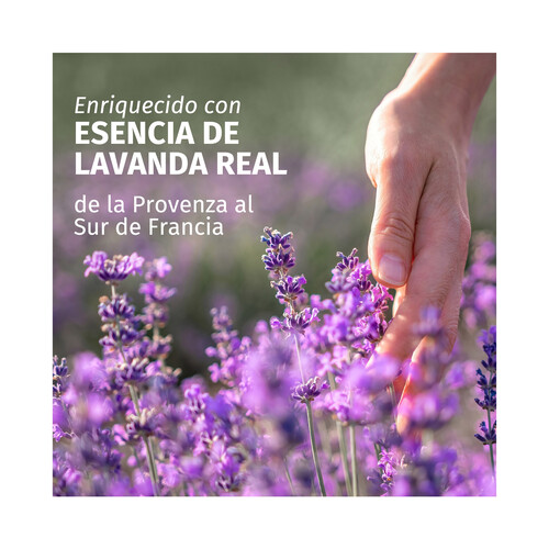 HERBAL ESSENCES Champú anti-encrespamiento con aroma a lavanda, para cabellos encrespados 350 ml.