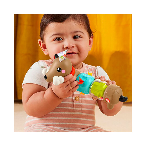 FISHER PRICE Perrito de actividades con sonidos y giros