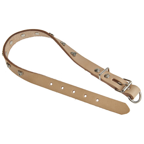 PRODUCTO ALCAMPO Collar (2 cm) de cuero y metal, de color natural, para perros M - L (40 - 48 cm).