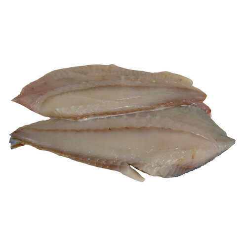 Rodaballo grande mostrador - Filetes