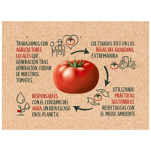 SOLÍS Tomate frito estilo casero en lata, pack de 3 uds x 100 g..